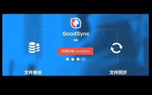 5款免費好用的精品應用軟件推薦